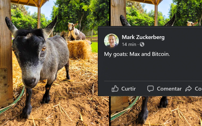 Khoe ảnh nuôi dê, 'ông chủ Facebook' khiến cộng đồng mạng dậy sóng vì chi tiết bất ngờ