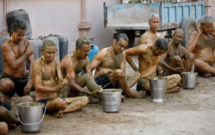 Bác sĩ Ấn Độ cảnh báo không dùng phân bò chữa Covid-19