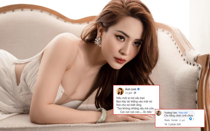 Con gái nuôi Hoài Linh chỉ cách đáp trả kẻ nói xấu mình, một nghệ sĩ lên tiếng: Chị Hằng chào Linh chưa?