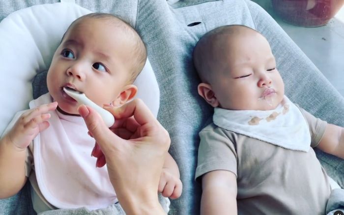 Fan thích thú khi tìm ra lí do cu cậu Leon càng ngày càng bụ bẫm hơn cả 'chị ba' Lisa