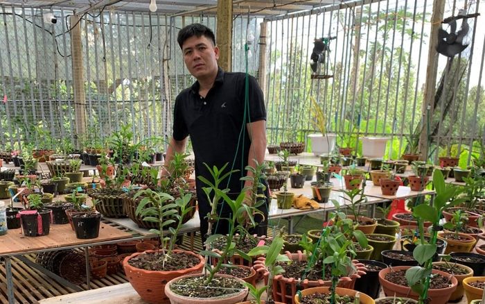 Bí quyết chăm sóc vườn lan của nghệ nhân Nguyễn Thành Chuyên