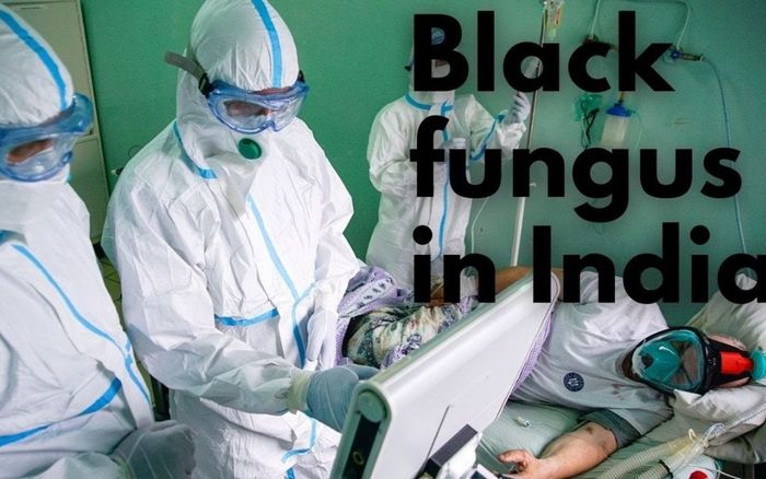 Bệnh mới khiến ngàn người Ấn Độ phải bỏ một mắt có lan ra thế giới?