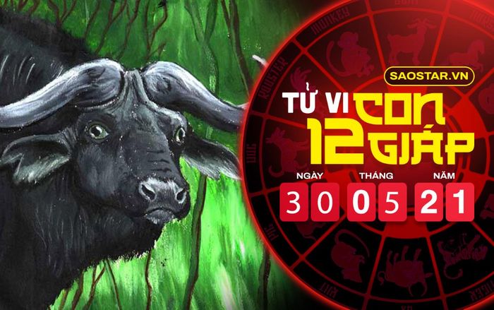 Tử vi chủ nhật ngày 30/5/2021 của 12 con giáp: Sửu nên đề phòng tiểu nhân, Mão gặp nhiều áp lực