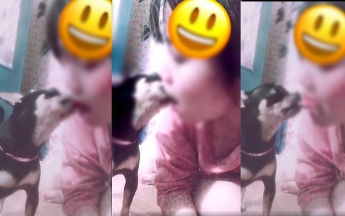 Một TikToker Việt khiến dân tình 'tá hỏa' khi đăng clip 'đá lưỡi' với chó