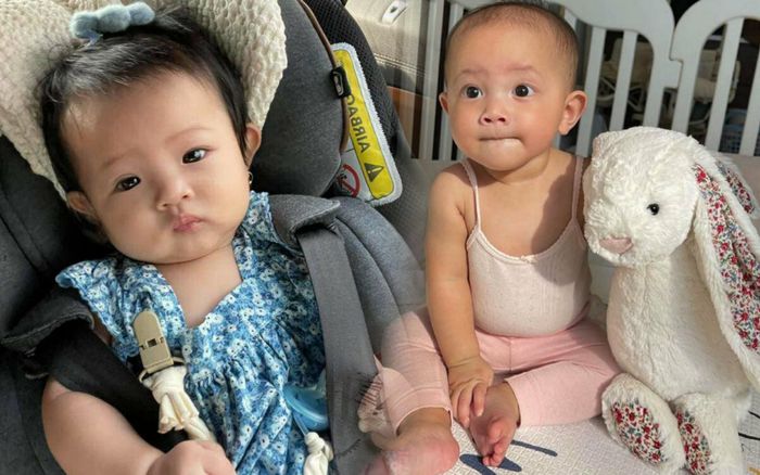 Bé Suchin bị chê xấu hơn Lisa nhà Hà Hồ, Đàm Thu Trang đáp trả sâu cay