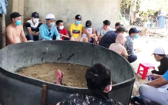 Tụ tập đá gà giữa mùa dịch COVID-19, 15 thanh niên Đà Nẵng bị phạt 225 triệu đồng