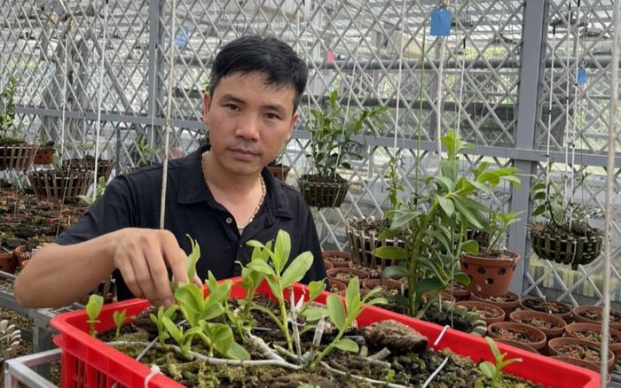 Bật mí bí quyết thành công của nghệ nhân lan Phương Thuần