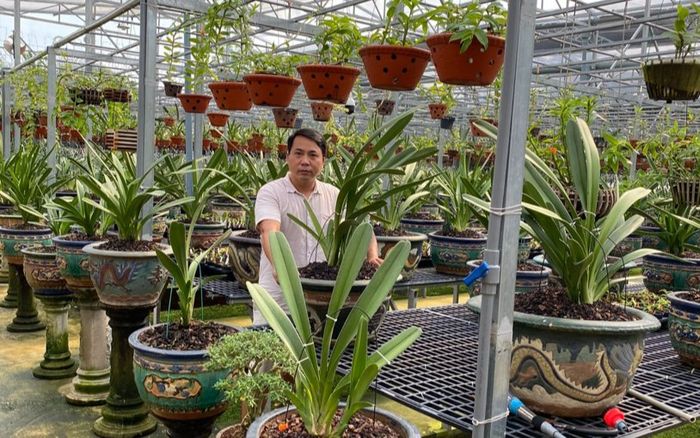 Nghệ nhân lan Quản Mạnh Dũng: Muốn thành công đừng ngại thất bại