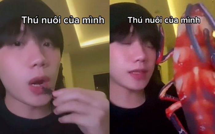 Dân mạng 'nổi da gà' khi chứng kiến TikToker làm clip ăn gián