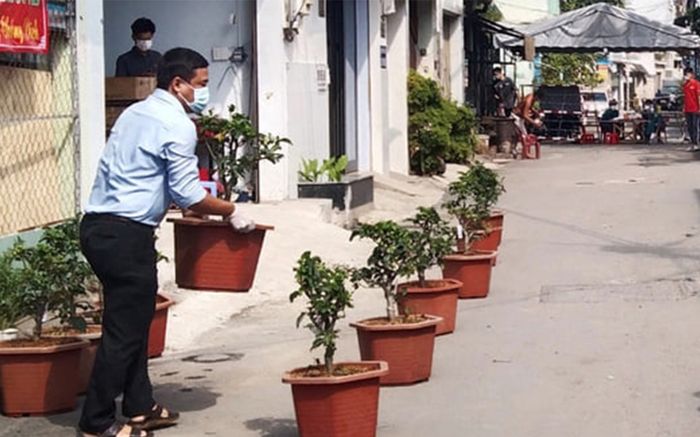 'Cây táo nở hoa' phiên bản đời thực: Mỗi hộ dân trong khu vực cách ly được phát cây táo để trồng