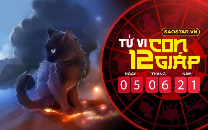 Tử vi thứ 7 ngày 5/6/2021 của 12 con giáp: Tý được quý nhân giúp đỡ, Mão vượng vận đào hoa