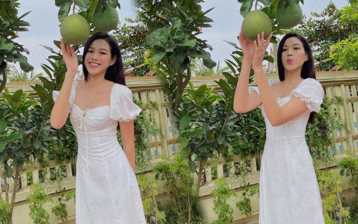 Hoa hậu Đỗ Thị Hà đi hái bưởi ở vườn nhà mà diện váy trắng xinh hết nấc