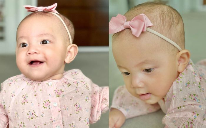 'Công chúa nhỏ' nhà Hồ Ngọc Hà ngọt ngào trong bộ ảnh mới, dân mạng không ngớt lời khen