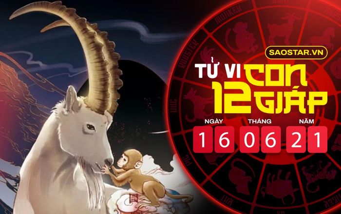 Tử vi thứ 4 ngày 16/6/2021 của 12 con giáp: Mão gặp nhiều trắc trở, Mùi vượng tài lộc