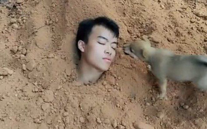 Tự đào hố chôn mình để 'thử lòng' chó cưng và cái kết rơi nước mắt