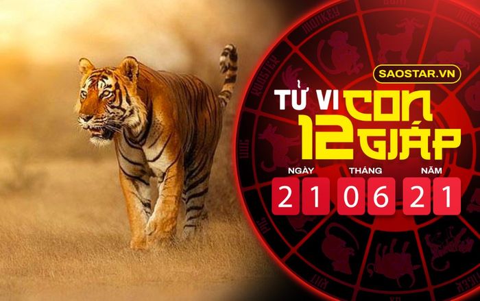Tử vi thứ 2 ngày 21/6/2021 của 12 con giáp: Dần tiêu tiền khôn ngoan, Mão vượng vận đào hoa