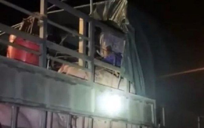 Quảng Ninh: Gần 20 người trốn trong xe chở lợn để né chốt kiểm dịch