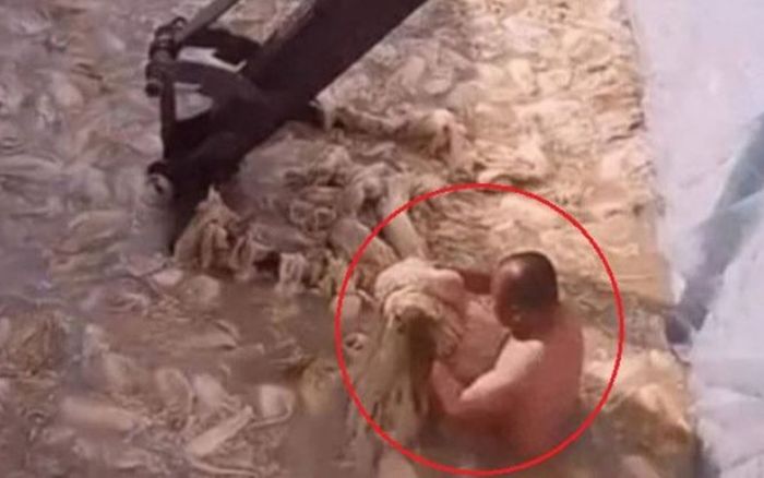 Ghê sợ trước cảnh người đàn ông Trung Quốc cởi trần ngâm cả người trong bể làm kim chi đục ngầu