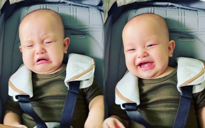 Sáng tinh mơ, Leon nhà Hà Hồ đã có màn 'lật mặt nhanh như chớp' khiến ai cũng ngỡ ngàng