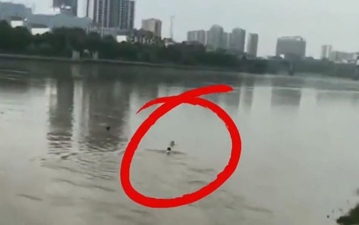 Nhảy xuống sông cứu trẻ đuối nước, người đàn ông bị đám đông vây lại không cho đi, cái kết gây bất ngờ