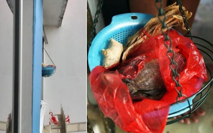 Thấy rổ nhà hàng xóm bốc mùi khủng khiếp, người phụ nữ báo cảnh sát nhưng sự thật lại gây bất ngờ