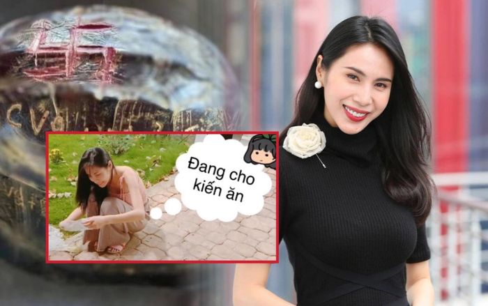 Giữa ồn ào khắc tên lên mai rùa, Thuỷ Tiên bị đào lại vụ chăm kiến: 'Em thấy nó giống con người vậy'