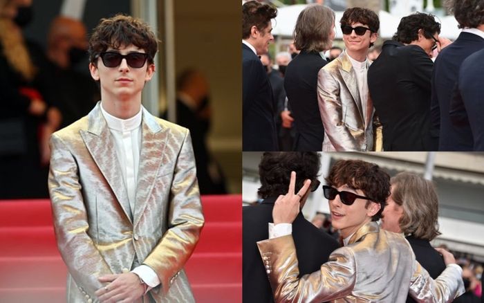 Chàng thơ Timothée Chalamet tỏa sáng chiếm trọn spotlight trên thảm đỏ Cannes 2021