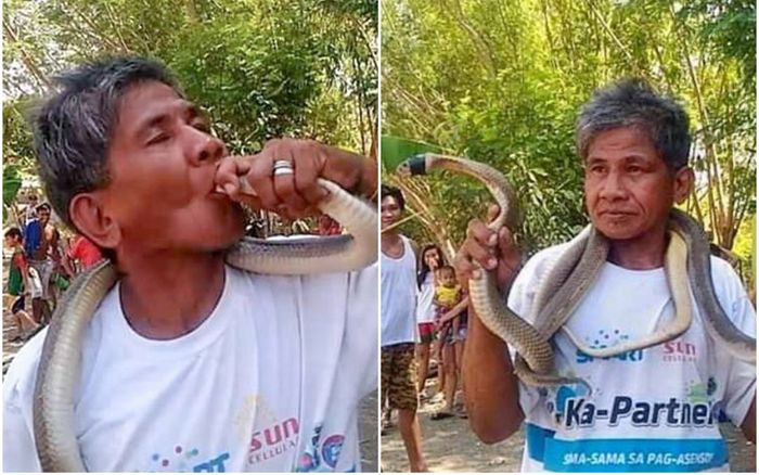 'Hôn' hổ mang chúa, người đàn ông bị rắn cắn vào lưỡi chết thảm