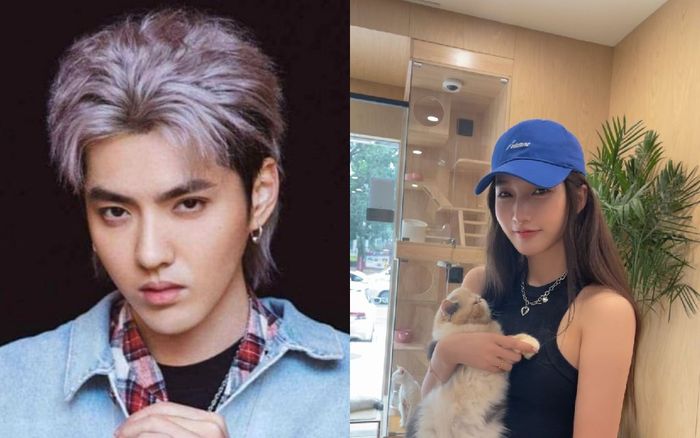 Đô Mỹ Trúc 'chốt' hạ drama: Yêu cầu Ngô Diệc Phàm viết thư xin lỗi và mở họp báo tuyên bố giải nghệ