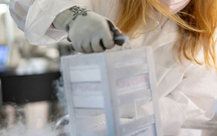 Vì sao vaccine mRNA ngừa Covid-19 cần được bảo quản ở nhiệt độ cực thấp?