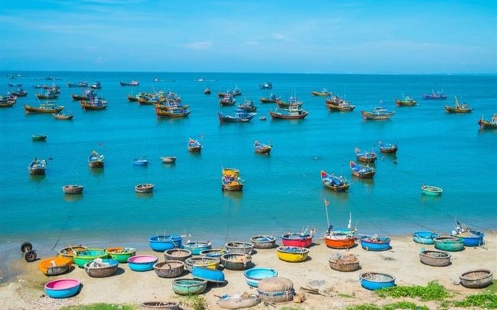 Có một làng chài đẹp mê ly với những chiếc thuyền thúng đầy màu sắc ở Bình Thuận