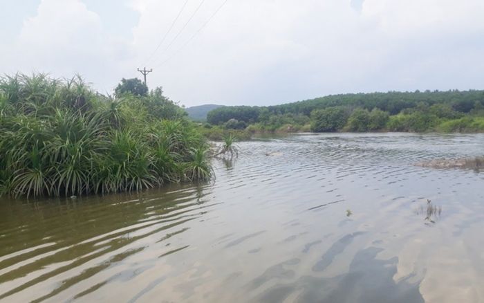 Phát hiện 1 thi thể nam giới trong đầm nuôi cá ở Quảng Ninh