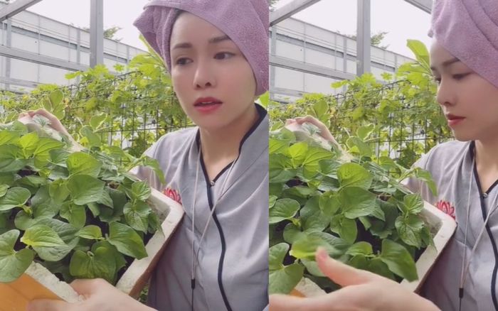 Bắt trend MXH, Nhật Kim Anh quay clip bán rau nhưng giá sản phẩm 'tiền tỷ' khiến dân tình tranh cãi