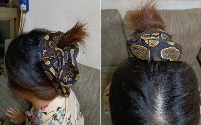 Dùng rắn làm dây buộc tóc, người phụ nữ khiến dân mạng sợ khiếp vía: 'Nhìn thôi đã tê hết da đầu rồi'