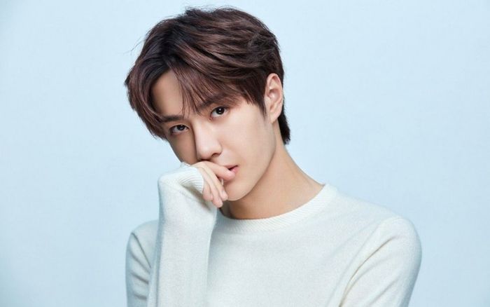 Vương Nhất Bác: Không vì thế giới mà thay đổi, chỉ làm những điều thuần khiết nhất