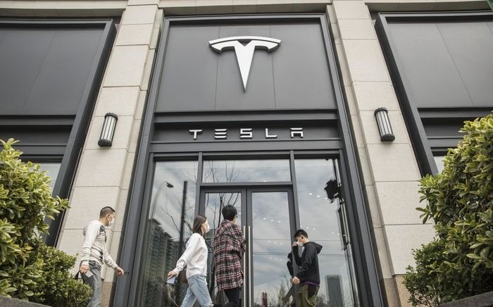 Elon Musk từng muốn thảo luận với Tim Cook để làm CEO của Apple?