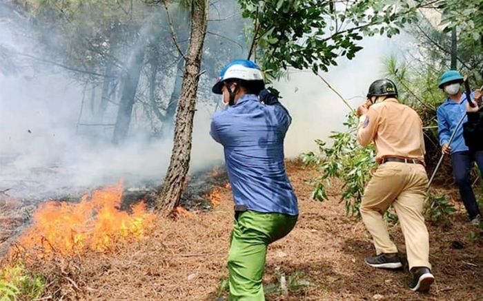 Thi thể người đàn ông được phát hiện giữa vườn keo sau vụ cháy lớn