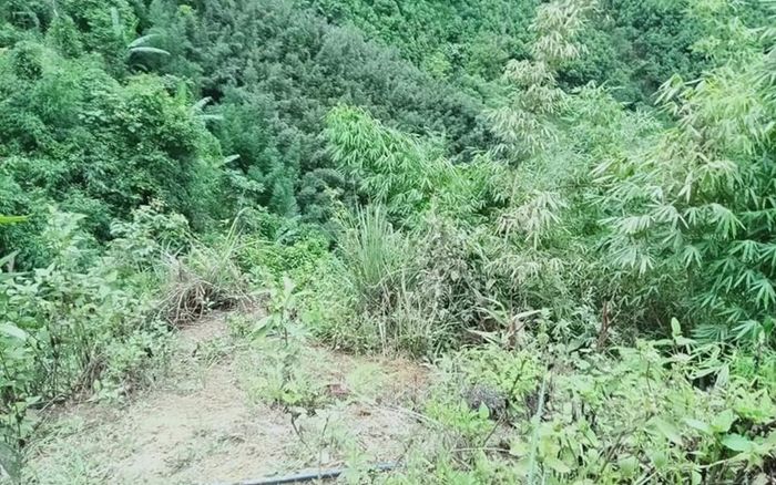 Người đàn ông tử vong sau tiếng nổ lớn trong lúc đang đi sửa ống dẫn nước ở Yên Bái