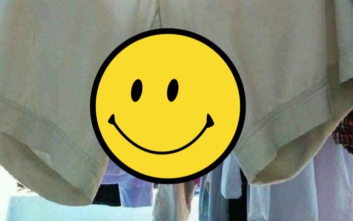 Rời phòng trọ mấy tháng, nam sinh 'sởn gai ốc' khi thấy thứ này bám dưới chiếc quần đang phơi trên sào