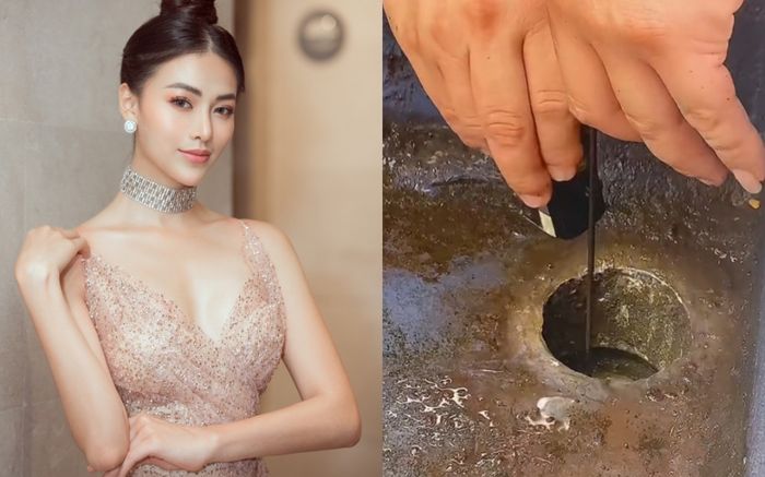 Nghe tiếng kêu lạ dưới ống nước, Hoa hậu Phương Khánh tìm kiếm và phát hiện điều bất ngờ