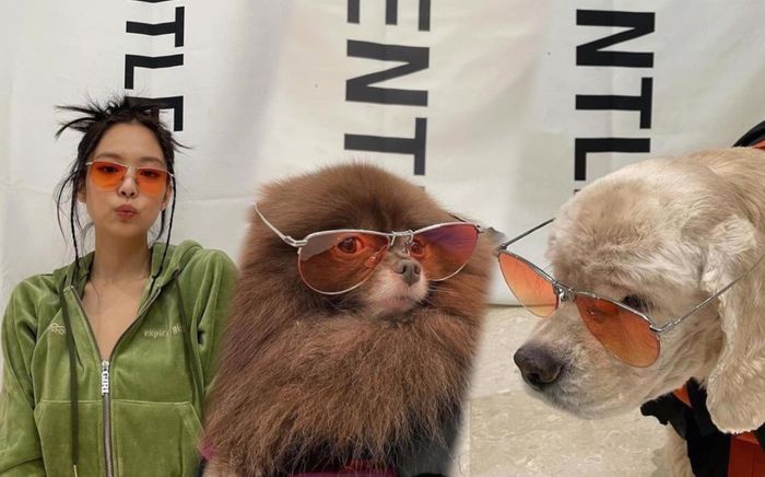 Jennie Black Pink cùng chó cưng đeo kính mát xịn sò chụp bộ ảnh thời trang