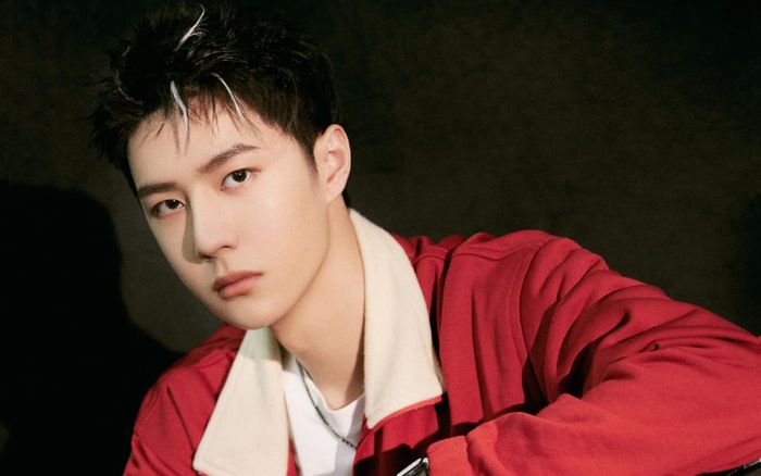 Chi tiết mới về vụ việc Vương Nhất Bác bị cài định vị vào xe: Hai fan cuồng đã bị tạm giam