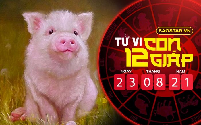 Tử vi thứ 2 ngày 23/8/2021 của 12 con giáp: Tý 'rũ bùn đứng dậy', Hợi vượng tài lộc