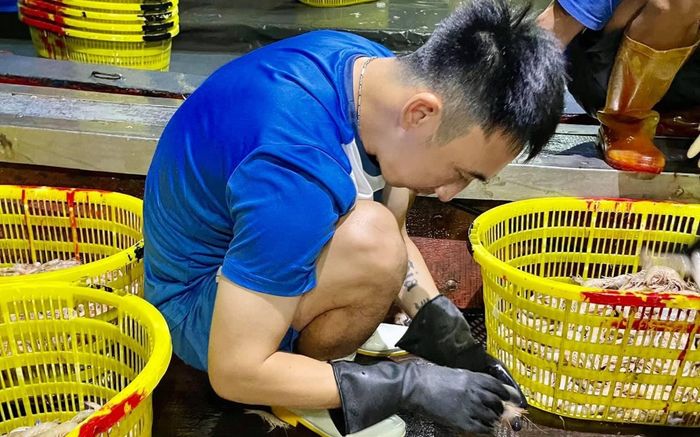 Phải cứu các cầu thủ Quảng Ninh!