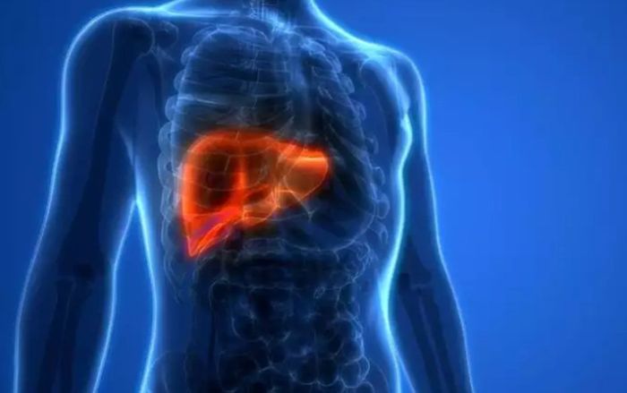 6 cơ quan chịu tác động lâu dài sau khi mắc Covid-19