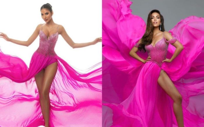 Váy đầm của Hoa hậu Việt bị NTK quốc tế đạo nhái trắng trợn khiến fan ấm ức