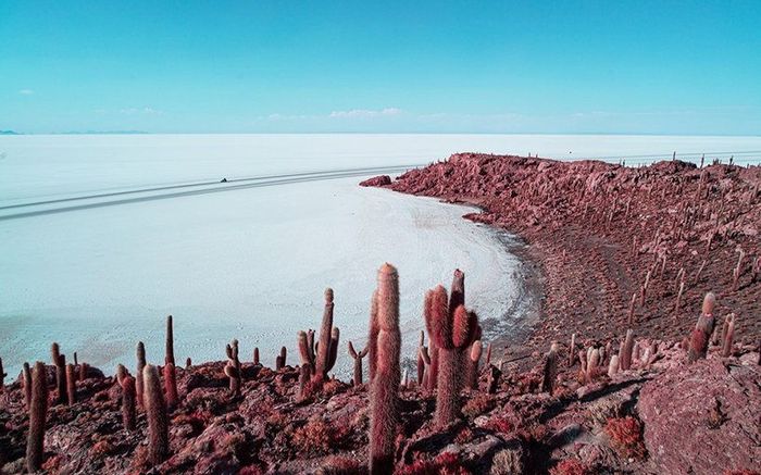 Đẹp lịm tim những góc ảnh chụp bằng kỹ thuật hồng ngoại