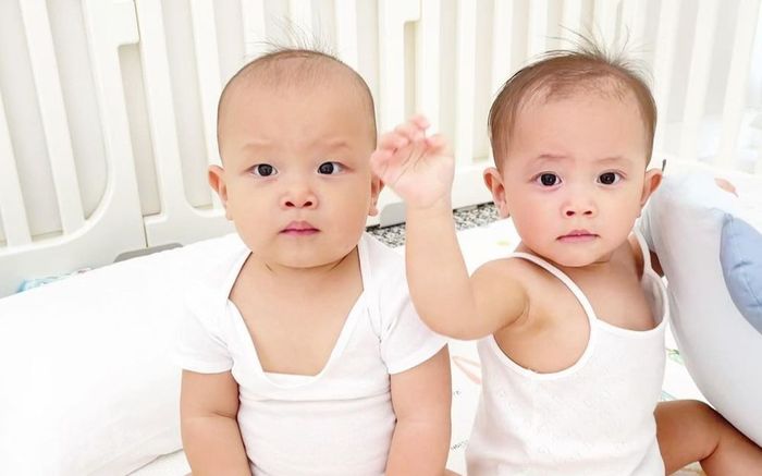 Cặp song sinh nhà Hồ Ngọc Hà từng 'bất hòa', nay lại có hành động này để làm lành?