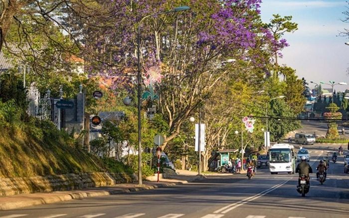 Đà Lạt mở lại quán ăn uống, dịch vụ làm đẹp, du lịch nội tỉnh... kể từ 17h ngày 8/9