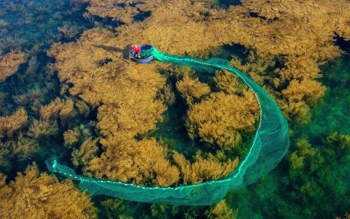 Ảnh phá Tam Giang đoạt giải nhất quốc tế